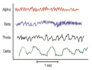 mozgová aktivita hladina alfa beta theta delta