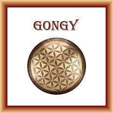 E-shop Gongy