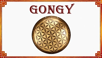 Eshop Gongy SK